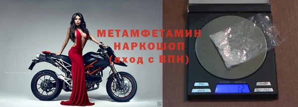 индика Каменногорск