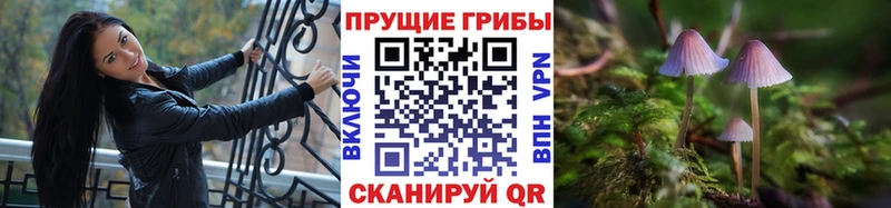 где найти shop наркотические препараты Псилоцибиновые грибы Psilocybe Мураши мега ссылка
