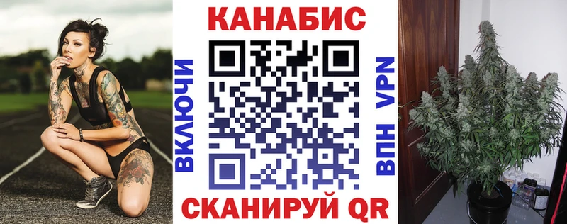 Конопля план  Мураши 